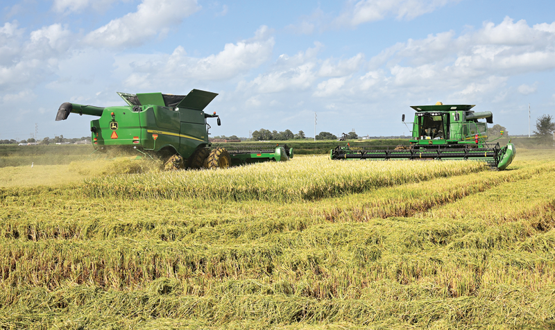 Rice harvest underway in Louisiana, other states will begin soon -  Brownfield Ag News